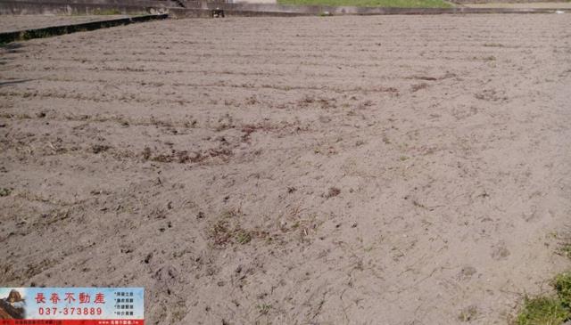 苗栗農地-2