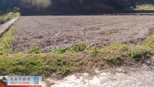 苗栗農地-5