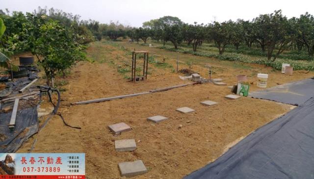 苗栗苗栗市農地-0