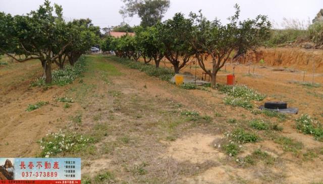 苗栗苗栗市農地-1