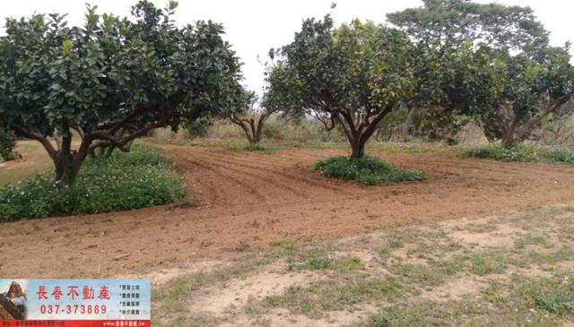 苗栗苗栗市農地-2