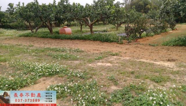 苗栗苗栗市農地-3