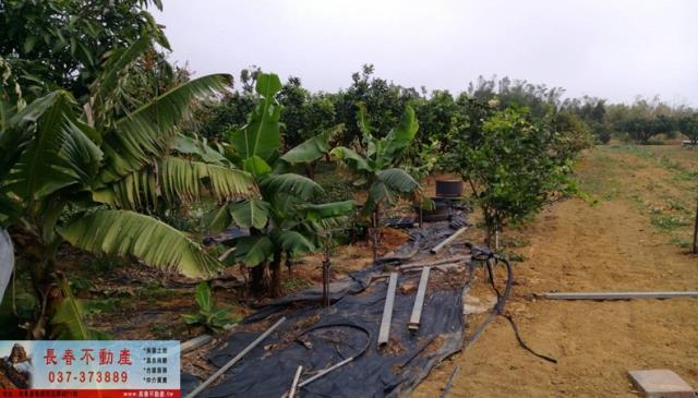 苗栗苗栗市農地-4