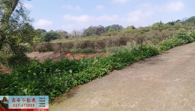 苗栗苗栗市農地-1