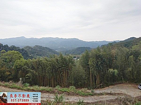 苗栗大湖農地-1