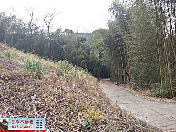 苗栗大湖農地-2