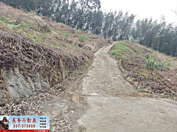 苗栗大湖農地-3