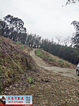 苗栗大湖農地-5