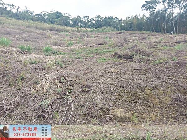 苗栗大湖農地-6