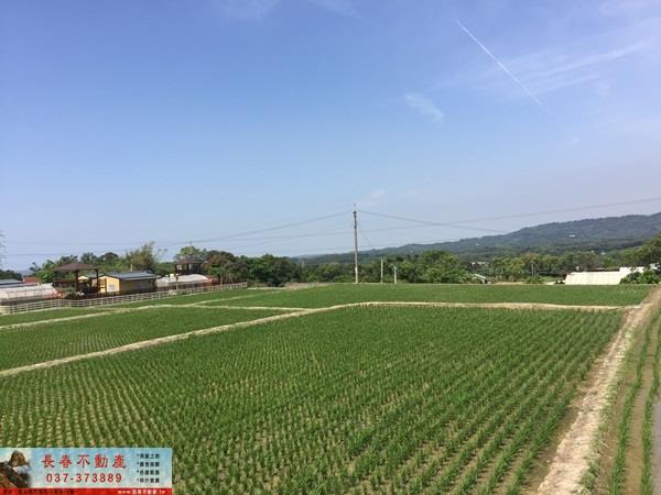 苗栗農地-0