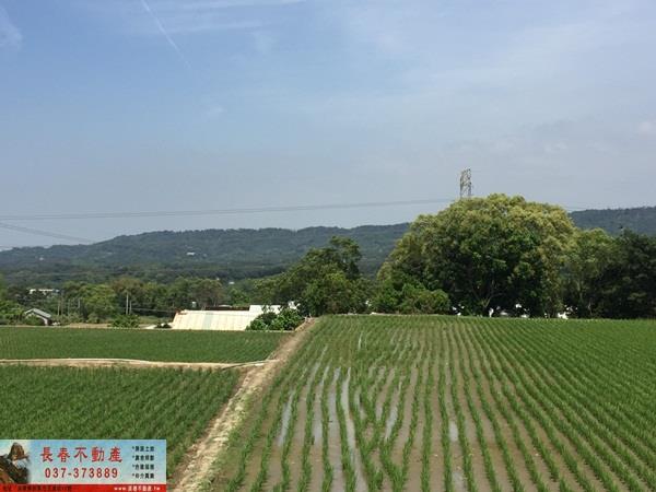 苗栗農地-1