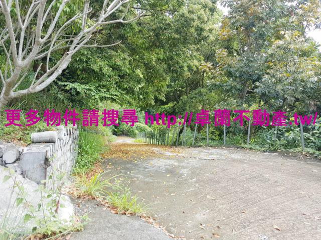 苗栗大湖農地-0