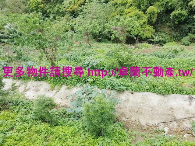 苗栗大湖農地-4