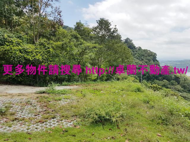 苗栗大湖農地-5