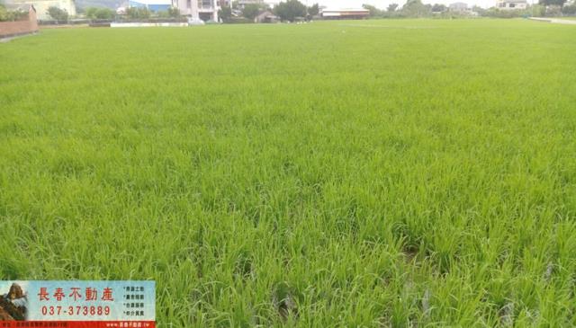 銅鑼農地-0