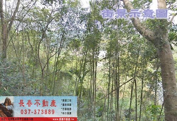 苗栗獅潭農地-0