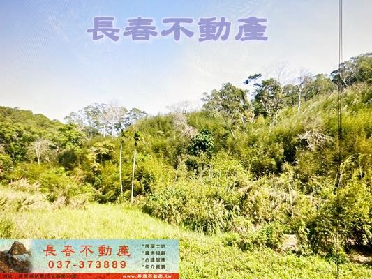 苗栗通霄農地-1