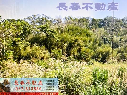 苗栗通霄農地-2