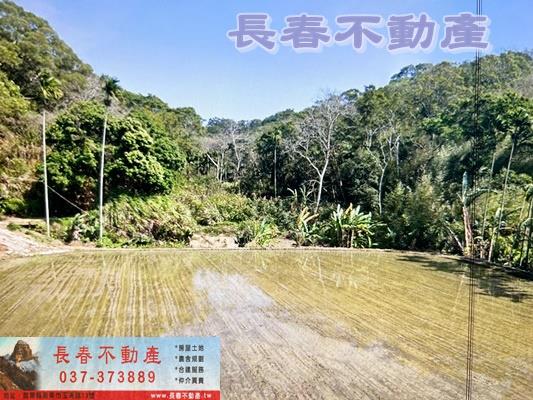 苗栗通霄農地-3