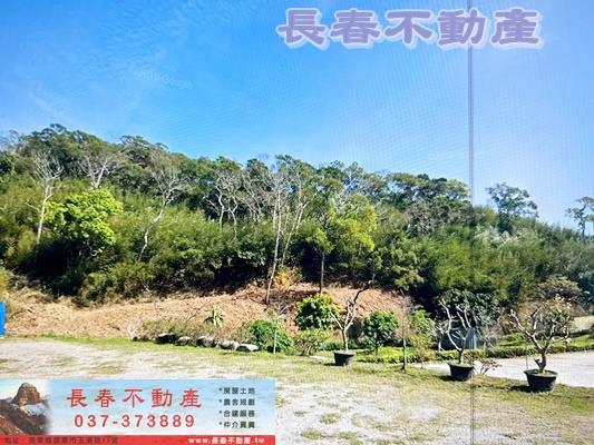 苗栗通霄農地-4