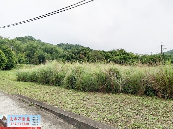 苗栗苗栗市建地-1