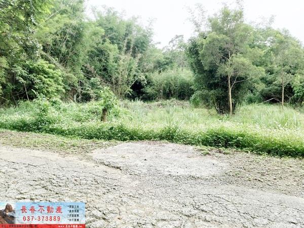 苗栗苗栗市建地-3