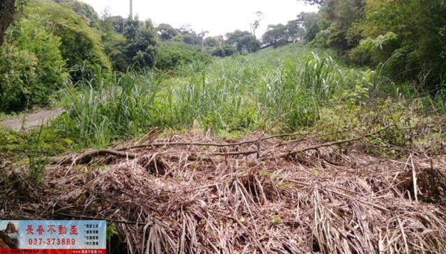 苗栗大湖農地-1