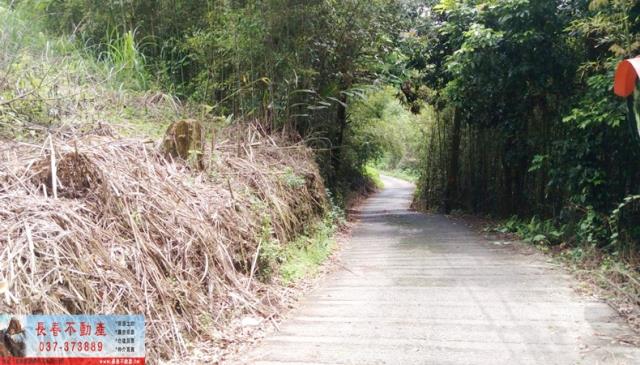 苗栗大湖農地-2