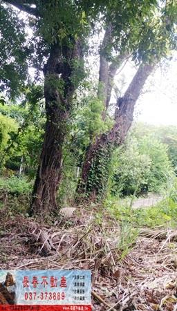 苗栗大湖農地-3