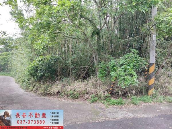 苗栗西湖農地-3