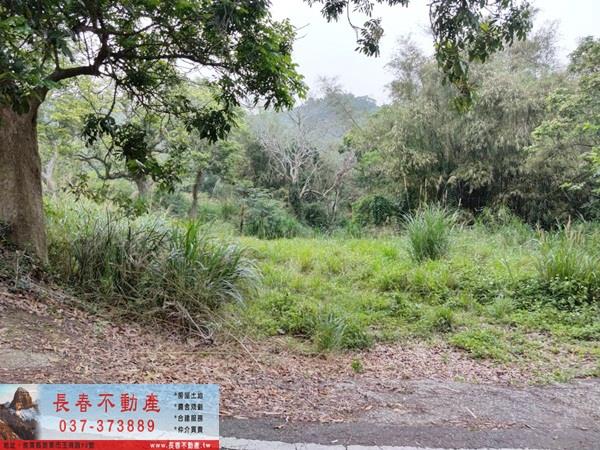 苗栗西湖農地-5