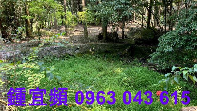 苗栗南庄農地-12