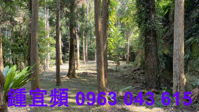 苗栗南庄農地-14