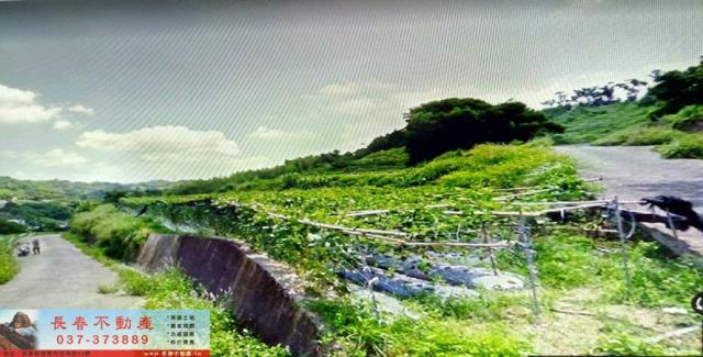 大湖農地-2