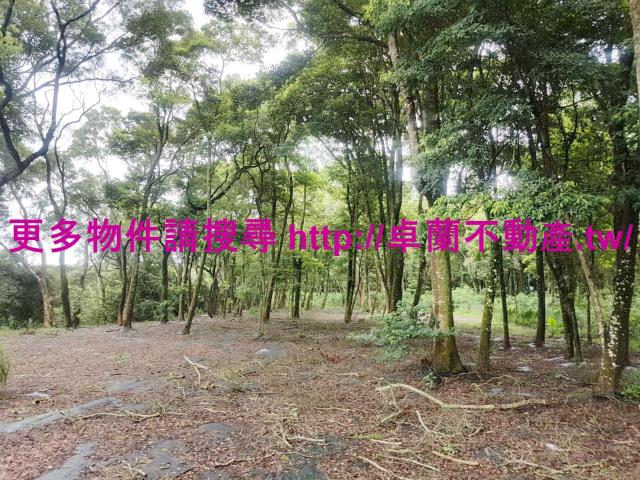 苗栗卓蘭農地-3