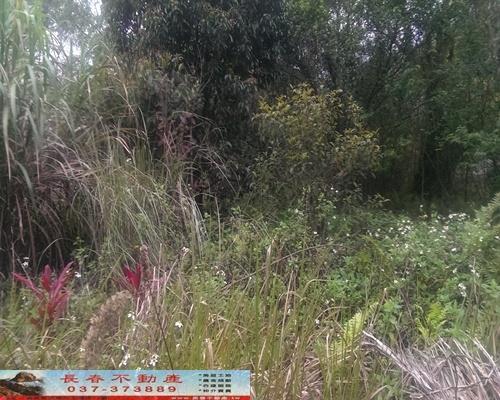 苗栗獅潭農地-2