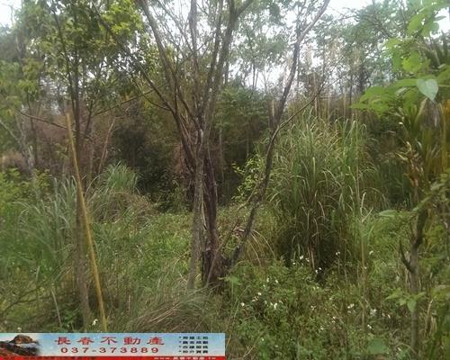 苗栗獅潭農地-4