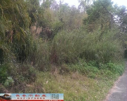 苗栗獅潭農地-5