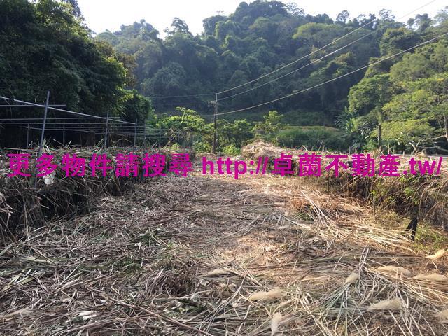 苗栗大湖農地-5