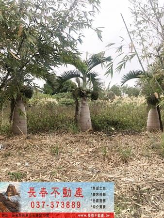 苗栗公館農地-3