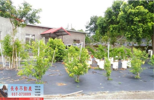 苗栗卓蘭農地-1