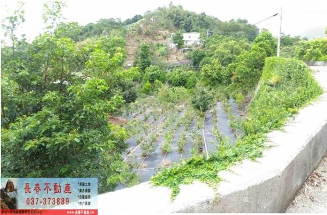 苗栗卓蘭農地-2