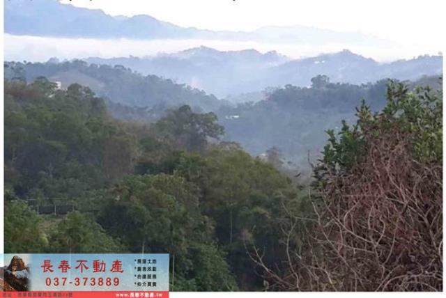 苗栗卓蘭農地-6