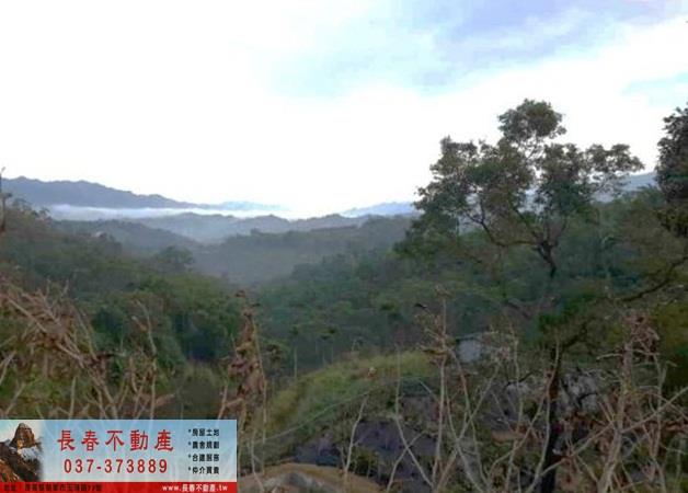 苗栗卓蘭農地-7