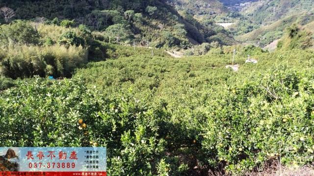 苗栗建地-0