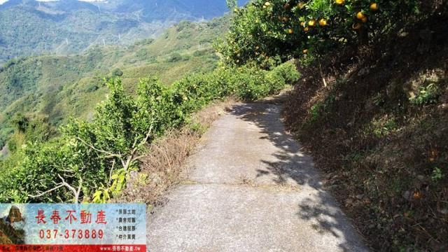 苗栗建地-2