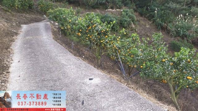 苗栗建地-3