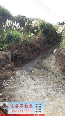 苗栗建地-7
