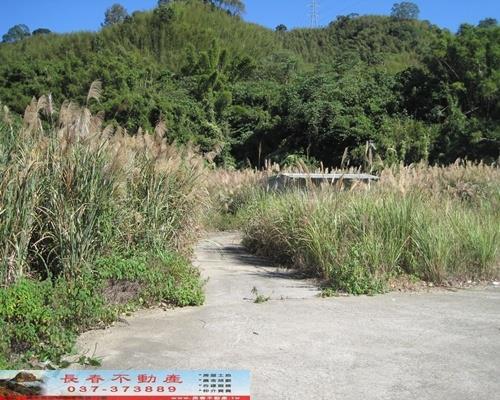 苗栗獅潭農地-0