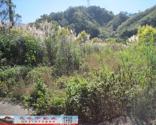 苗栗獅潭農地-2